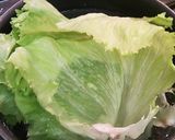 巻き巻きサラダ作り方1写真