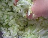 野菜だけで作る餃子作り方3写真