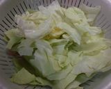 簡単！キャベツとツナのレンジ蒸し♡作り方1写真