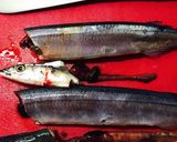 【晩酌仕立】さんまとトマトの炊き込み御飯作り方1写真