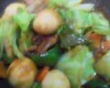 大豆のお肉Ｄｅオイスター味の回鍋肉風作り方7写真