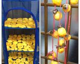 干し柿2015作り方11写真