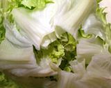 レタスのしゃぶしゃぶホットサラダ作り方1写真