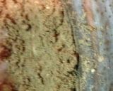 大豆のお肉で本格手作りカレー☆作り方7写真