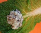 大豆のお肉で！ロール白菜の中華あんかけ作り方10写真