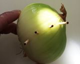 温野菜＊玉ねぎとじゃがいものソテー作り方1写真