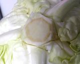 ロールキャベツの中華風あんかけ作り方4写真