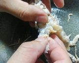 シャコの美味しい茹で方と剥き方作り方8写真