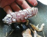 シャコの美味しい茹で方と剥き方作り方10写真