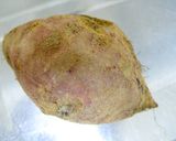 Sweet potato☆ココットカマン作り方3写真