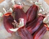 甘くておいしい！！干し柿の作り方☆作り方9写真