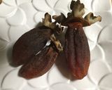 甘くておいしい！！干し柿の作り方☆作り方10写真