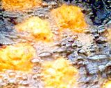 マック！モス超？簡単チキンナゲット作り方6写真