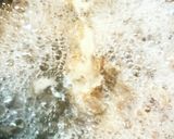 牛スジのぽん酢煮込み作り方3写真