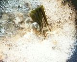 牛スジのぽん酢煮込み作り方5写真