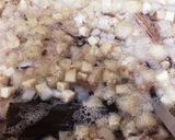 ✨絶品 けの汁✨ 【津軽 郷土料理】作り方8写真