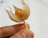 食用ほおずきの山作り方3写真