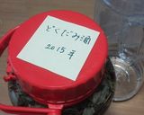 健康に☆美味しいドクダミ酒作り方3写真