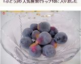 葡萄冷凍保存《おやつ、デザートに》作り方5写真