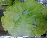 ロールキャベツの中華風あんかけ作り方9写真