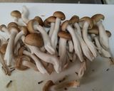 鳥胸肉とつまみ菜のクリームパスタ作り方4写真