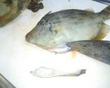 カワハギの捌き方二種(備忘録)作り方2写真