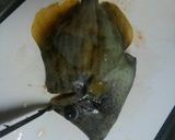カワハギの捌き方二種(備忘録)作り方5写真