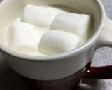 ふわぽか♡ カプチーノ風ココナッツミルク作り方1写真