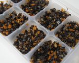 離乳食中期～うまみたっぷりのひじき煮作り方5写真