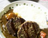 簡単にさばいて！FPでも、鰯のハンバーグ作り方10写真