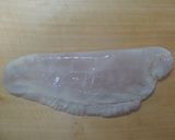 ヒラメのゆず果汁〆作り方2写真
