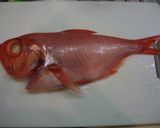 魚を捌こう!金目鯛の煮付け編作り方1写真
