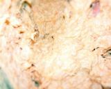 こだわりの焼き餃子作り方2写真