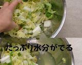 ヘルシー＆栄養満点！白菜とわかめのサラダ作り方2写真