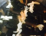 昆布巻き作り方11写真