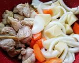 コツをつかめば簡単☆鶏肉のシチュー作り方5写真