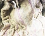 図解！手作り肉まん！作り方7写真