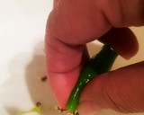 ゆず香る＊ししとうとじゃこの油揚げご飯作り方3写真