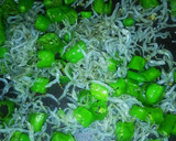 ゆず香る＊ししとうとじゃこの油揚げご飯作り方5写真