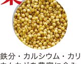 雑穀もち作り方9写真