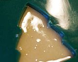 抹茶のフィナンシェ作り方11写真
