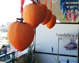 夕陽色の干し柿作り方4写真