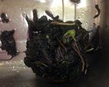 梅干し ポリ袋で漬ける。作り方6写真