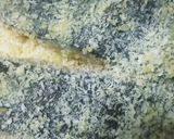 ヒラメの聖護院大根あん薬味たっぷり作り方4写真
