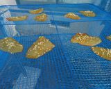 かわはぎの干物2種作り方7写真