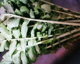 大根葉とツナの和え物“とにかく簡単”作り方1写真