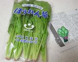 ほうれん草保存っ!ベジバッジで解決っ!作り方1写真