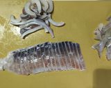 柚子入りイカの塩辛作り方3写真