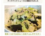 簡単！5分で出来る！白菜チョレギサラダ！作り方10写真