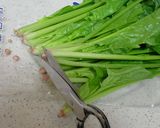 ほうれん草保存っ!ベジバッジで解決っ!作り方6写真
